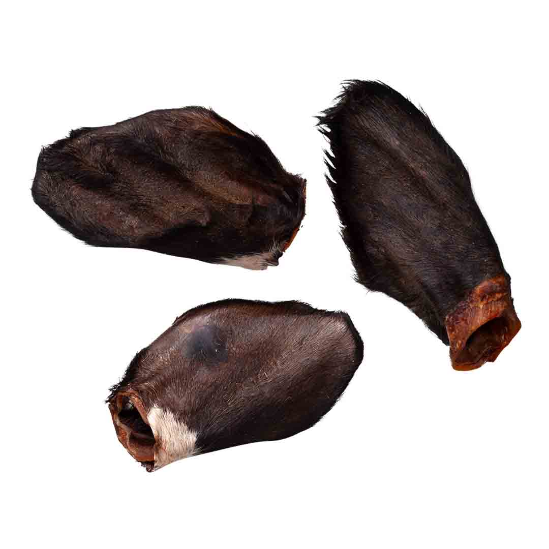 Naw XL Cow Ear with Hair
