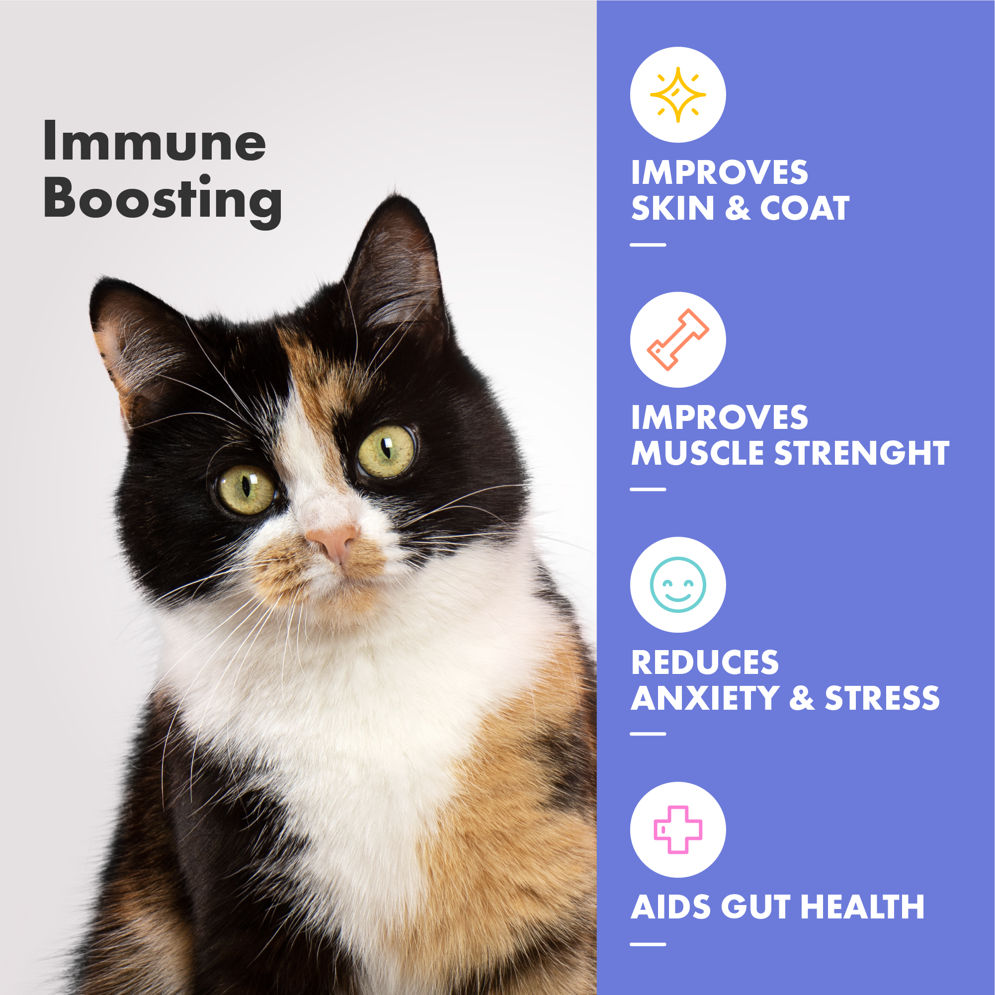 DotDotPet Multifit Multivitamin Gummies Cat 125g