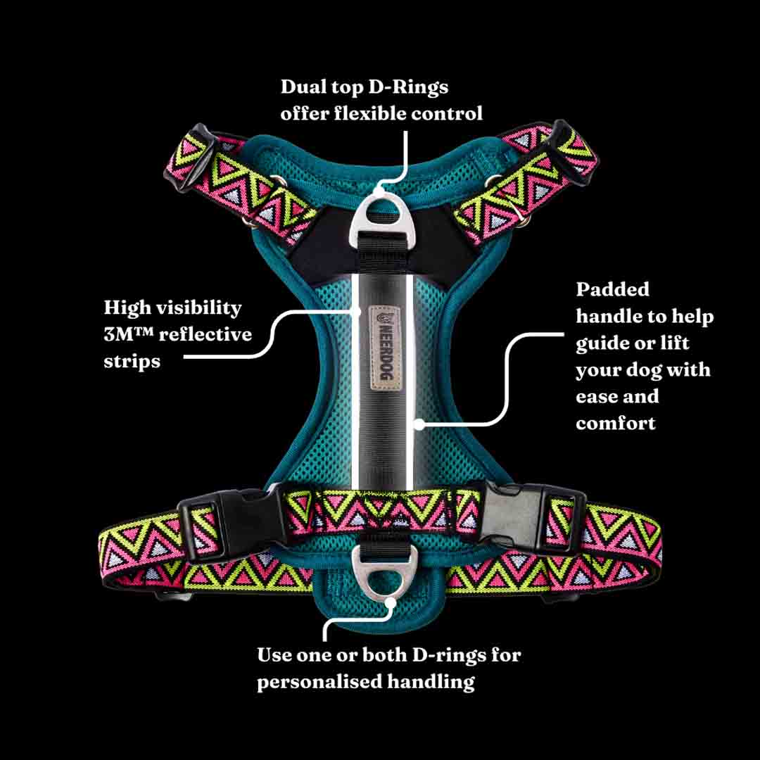 Neerdog Go-B-Bold Airflow Dog Harness-Lantana Small