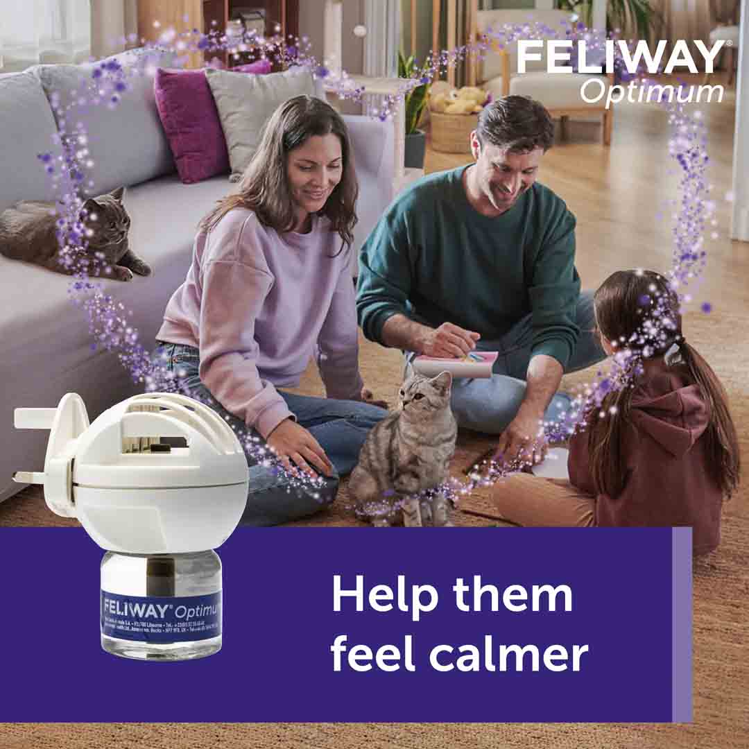 Feliway Optimum Refill 3 Pack