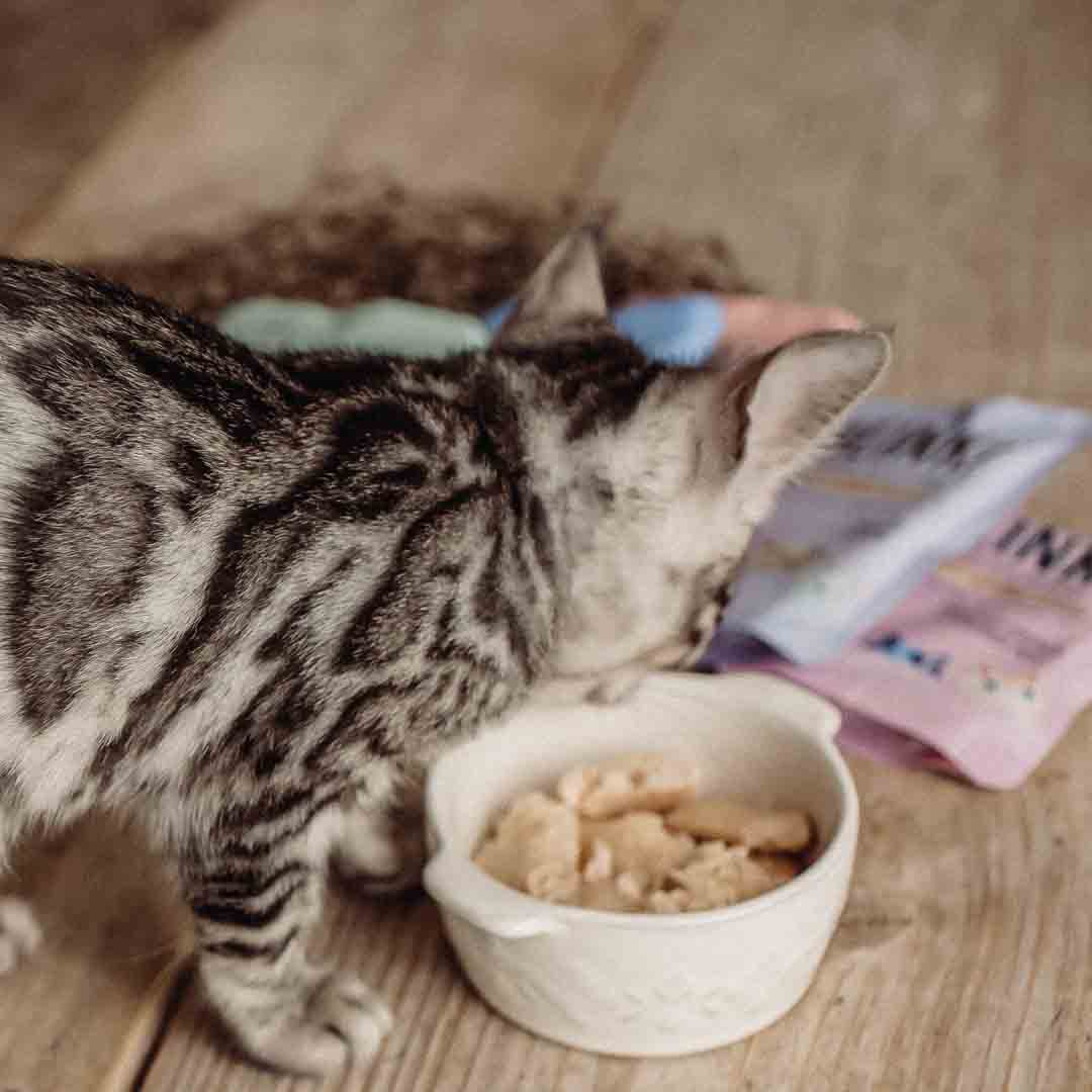 Butcher's Blink Fish Selection Pack Cat Food 8x85g