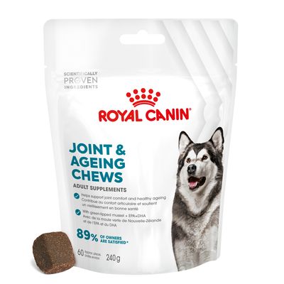 Royal Canin Dog Supplement for Joint & Ageing Soft Chews