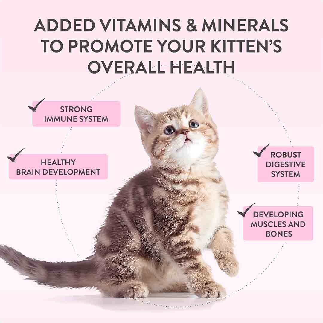 Schesir Complete and Balanced Wet Kitten Food Chicken in Mousse 70g