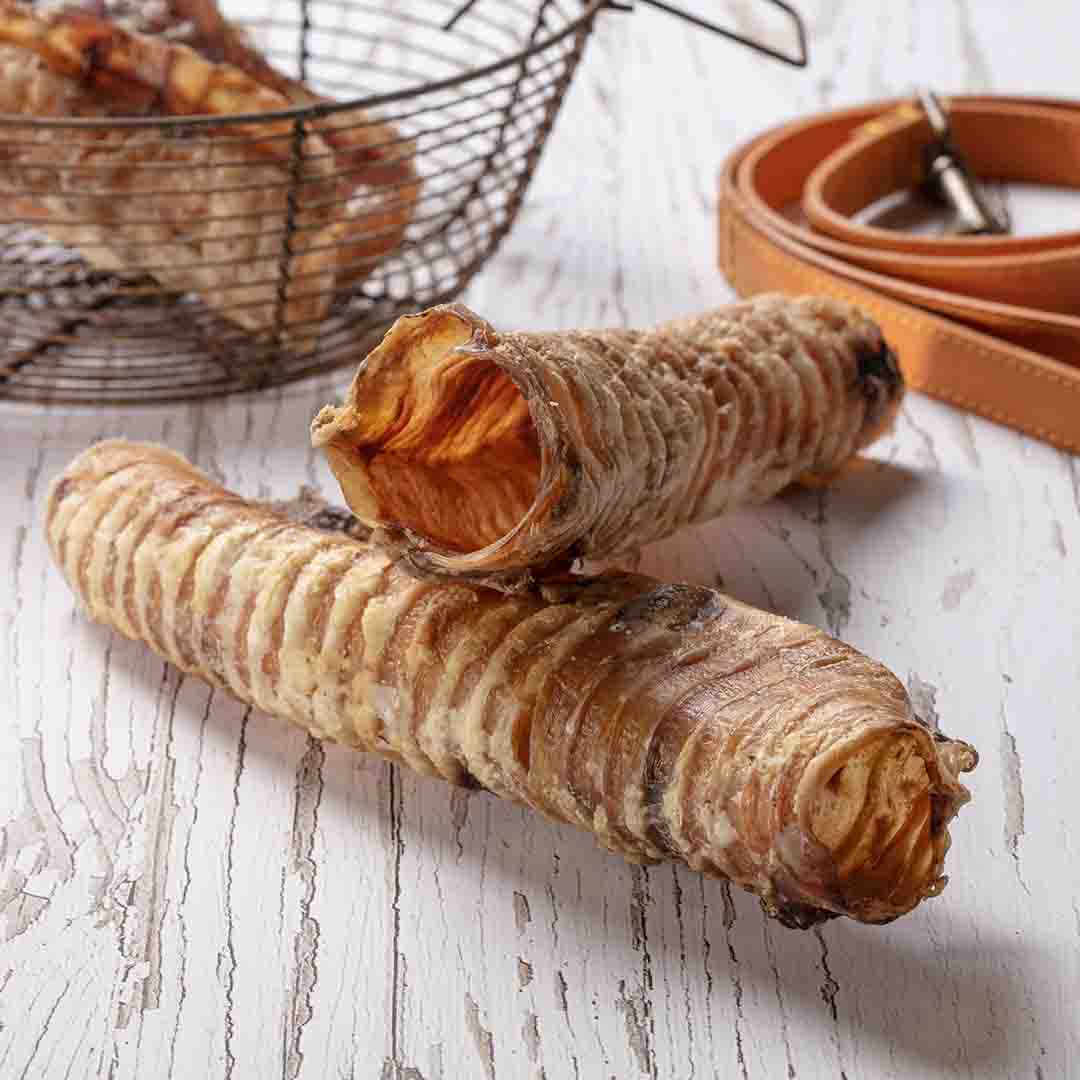 Hollings Natural Large Trachea, Dog Treats
