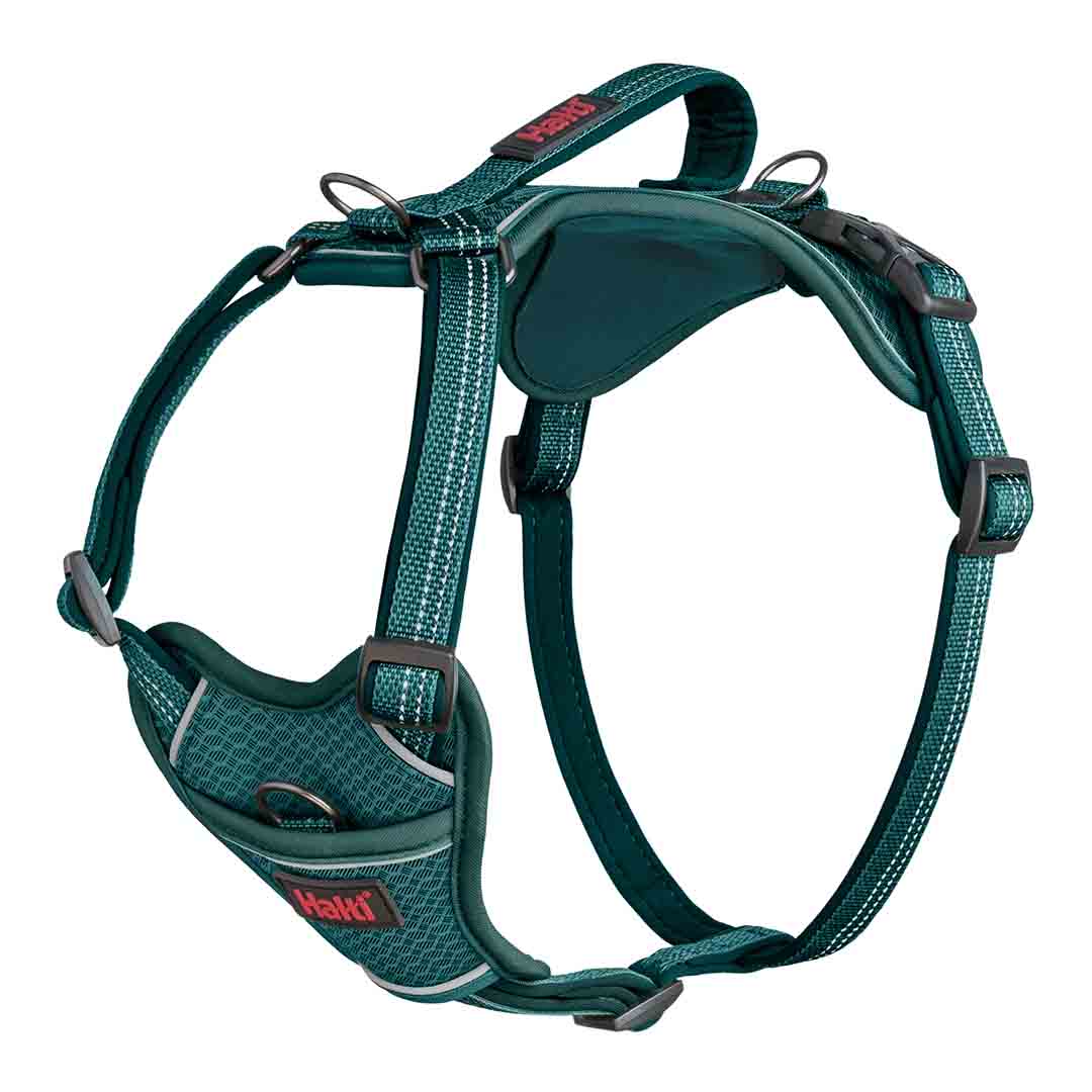 Halti Anatomy Dog Harness Teal Medium
