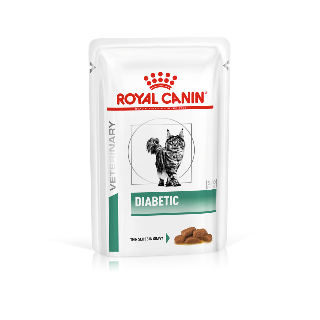 Royal Canin Diabetic Adult Wet Cat Food Thin Slices In Gravy 48x85g