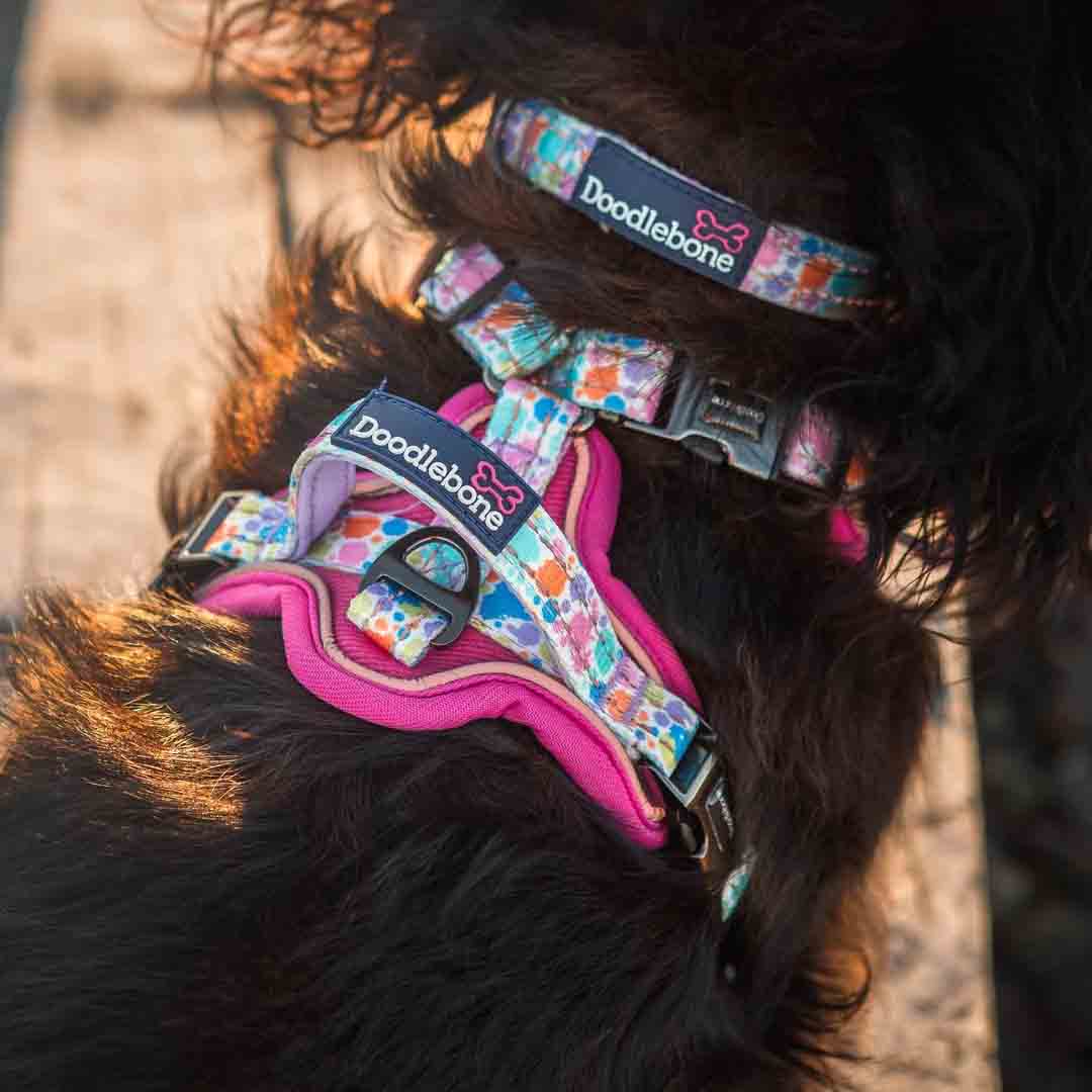 Doodlebone 'With Me' Dog Harness Pink 6-9