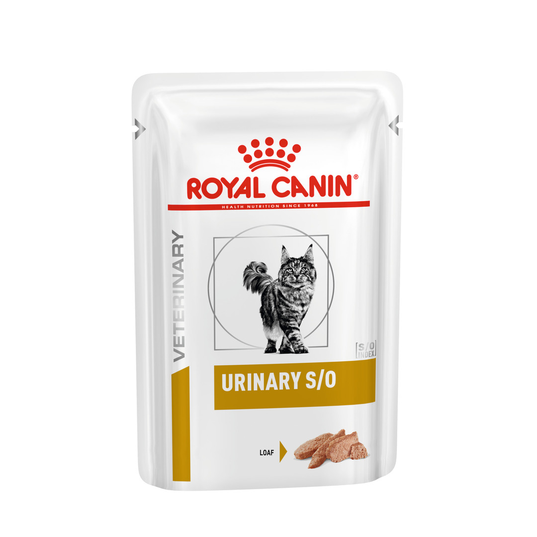 Royal Canin Urinary S/O Adult Wet Cat Food In Loaf 48x85g