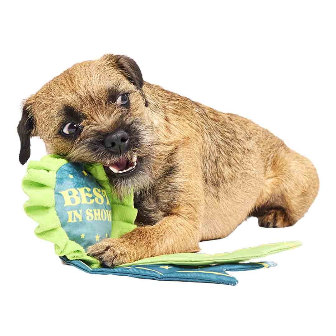 Bark Crufts Best In Show Dog Toy