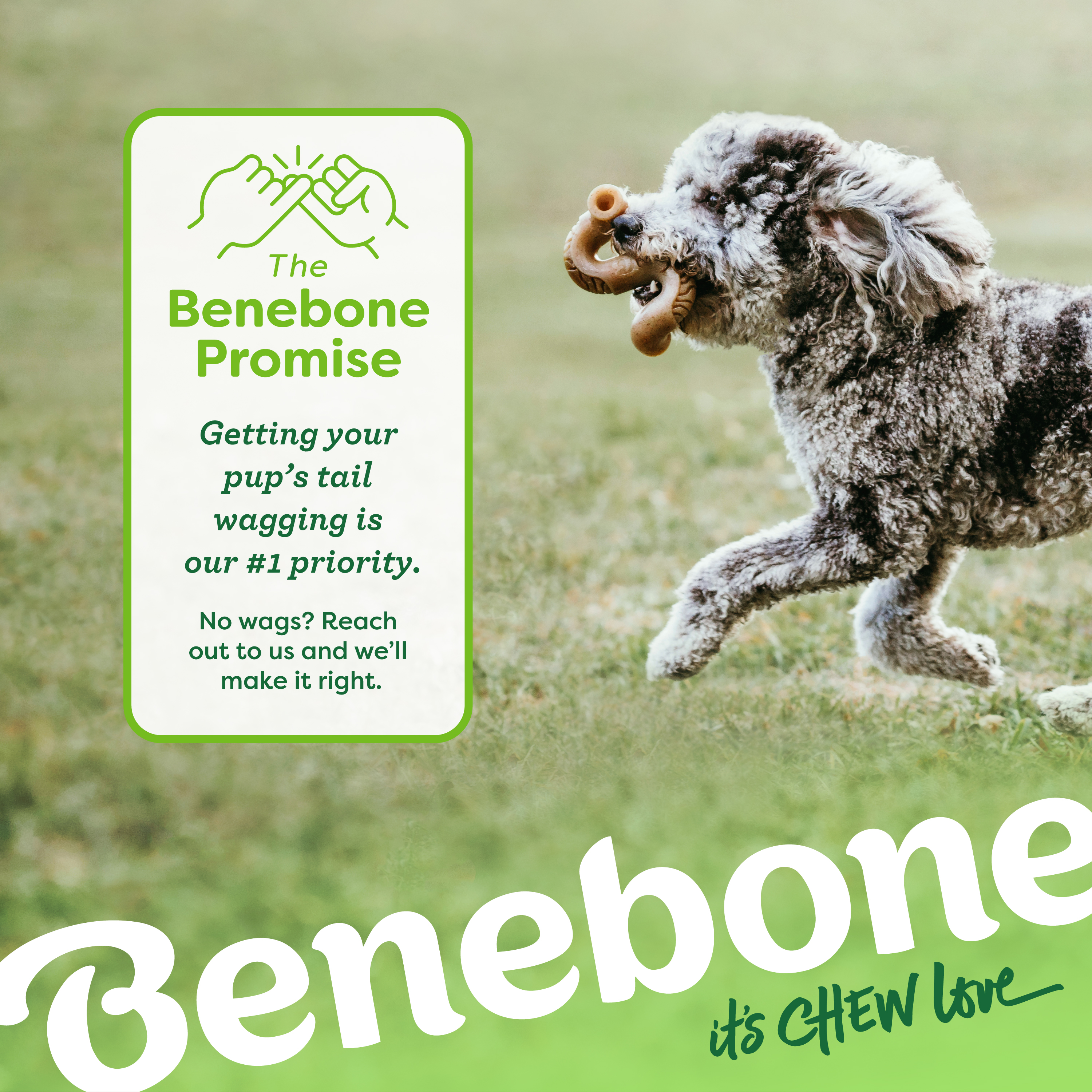 Benebone Tripe Bone Dog Toy Medium