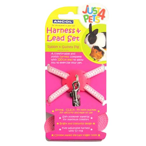 Ancol Rabbit & Guinea Pig Harness with Lead Pink