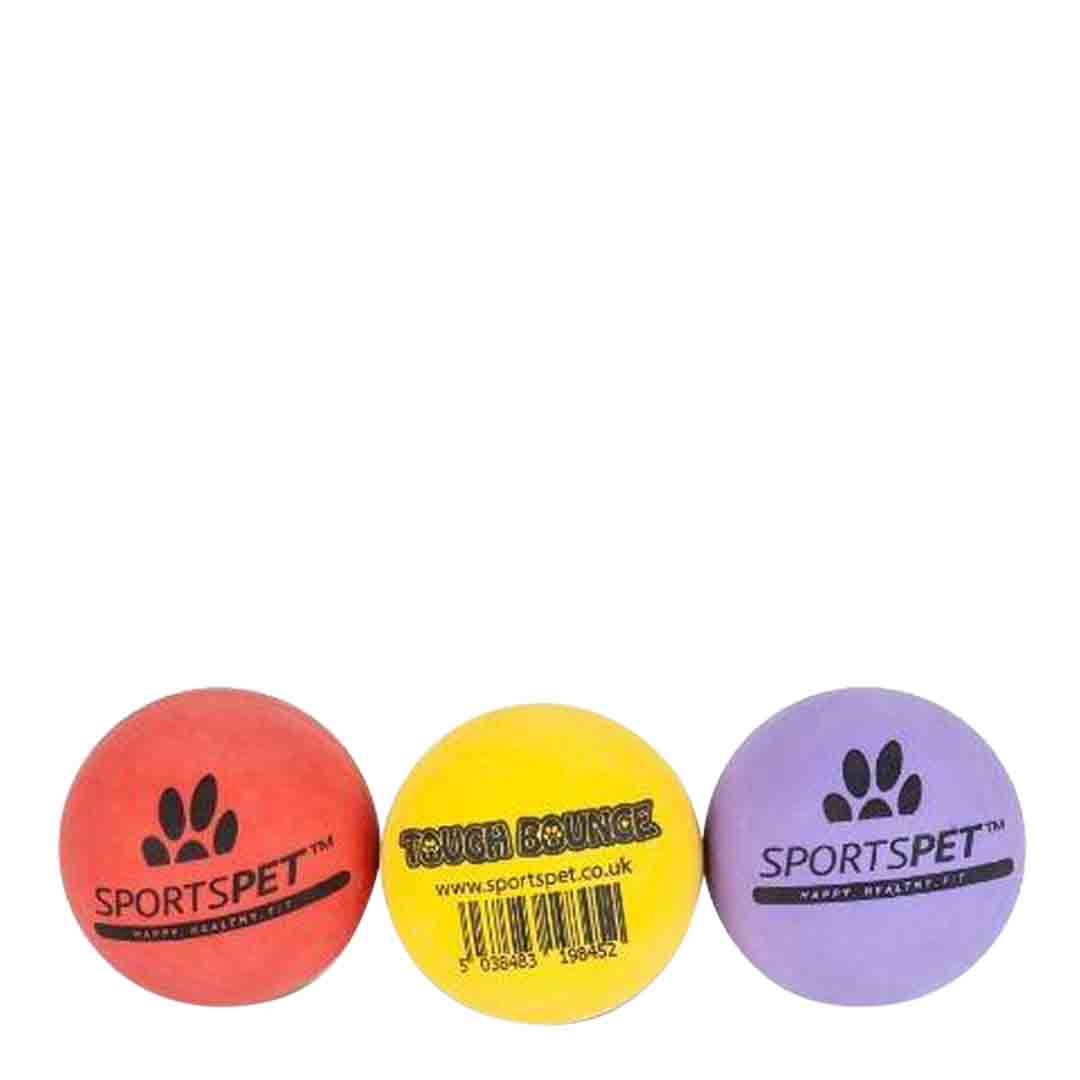 SportsPet Tough Bounce Ball Dog Toy