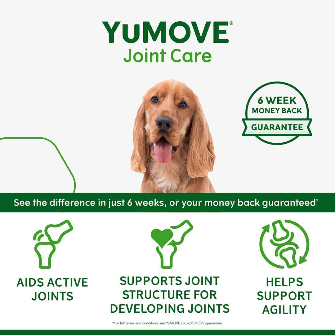 YuMOVE Joint Suppplement for Young and Active Dogs, 60 tablets