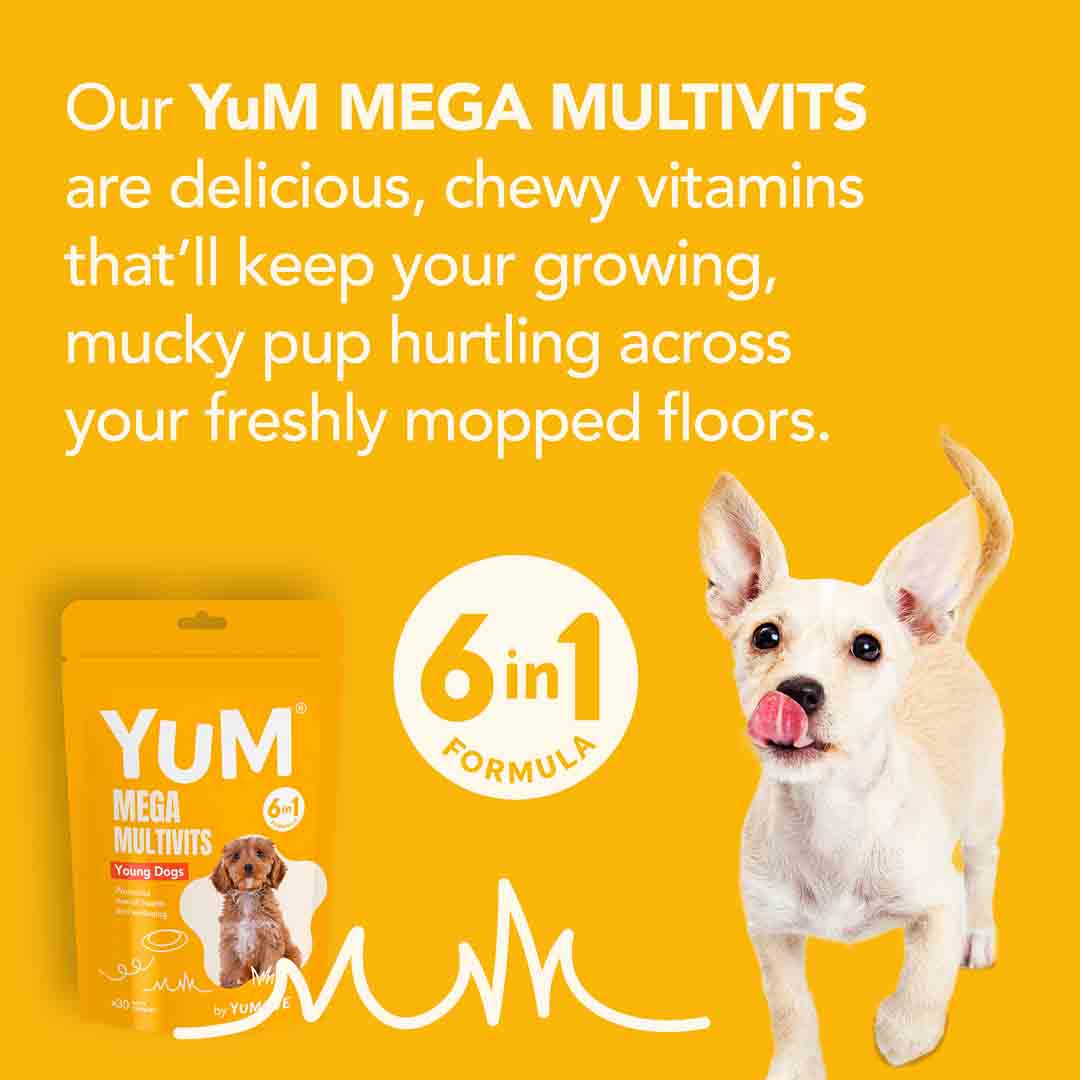 YuCARE Mega MultiVits Supplement for Young Dogs 
