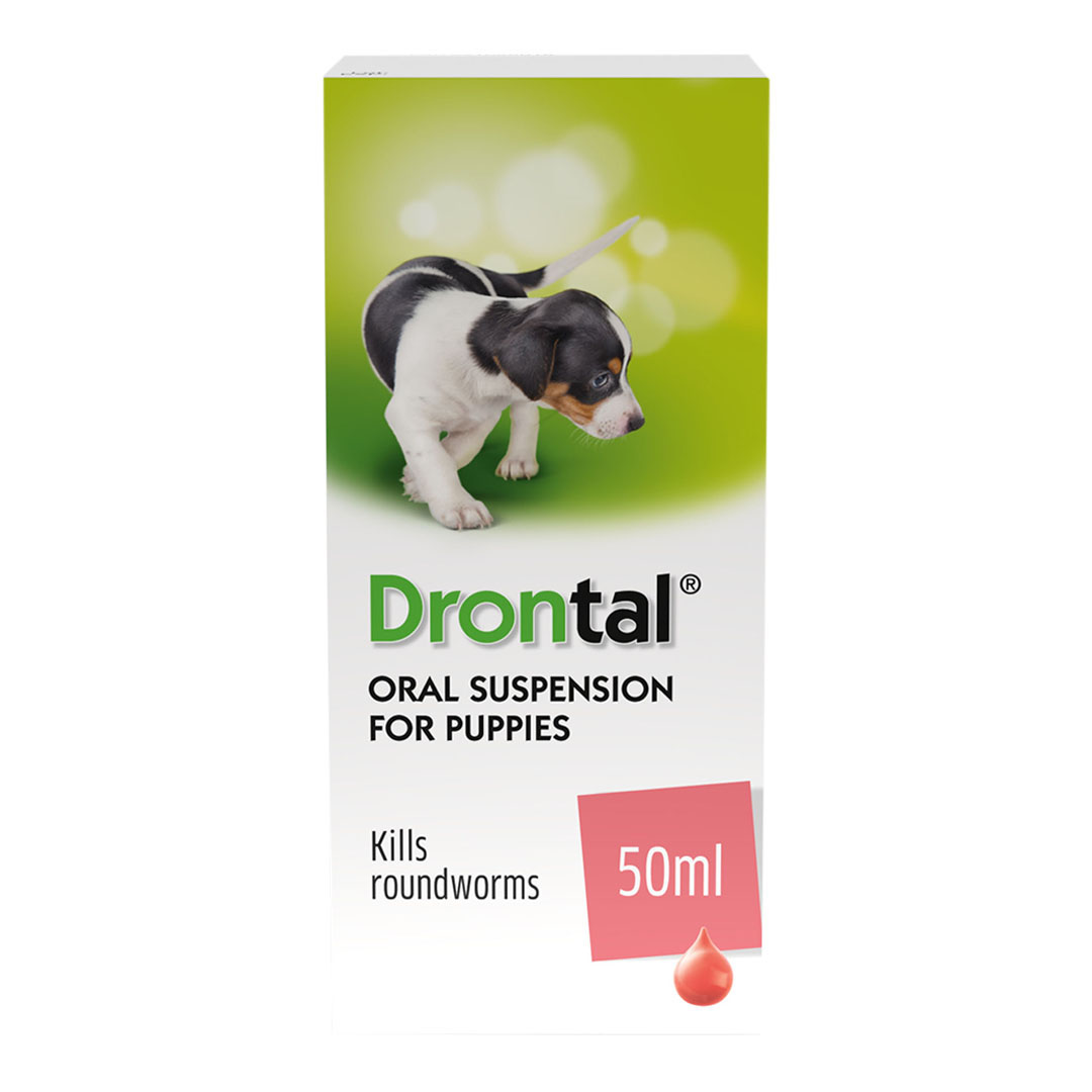 Drontal Oral Suspension Worming Treatment for Puppies 50ml