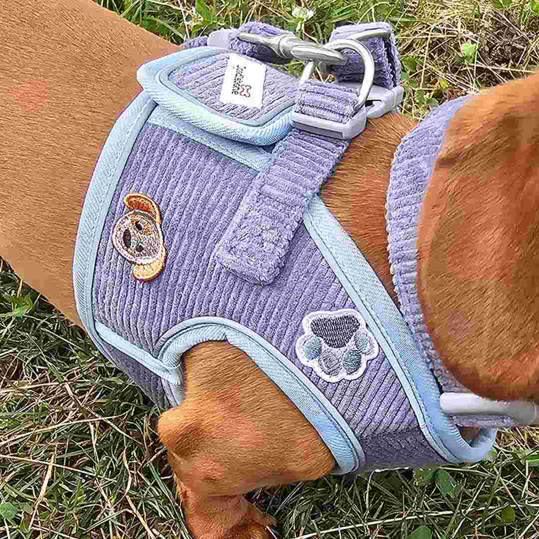 Doodlebone Snappy Dinky Blue Dog Harness 1-2