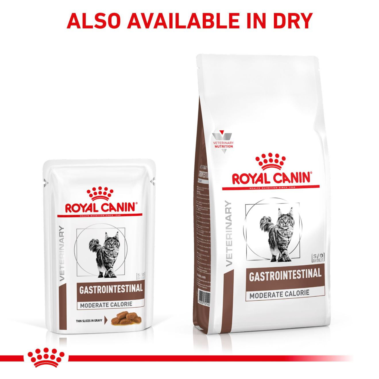 Royal Canin Gastrointestinal Moderate Calorie Adult Wet Cat Food 48x85g