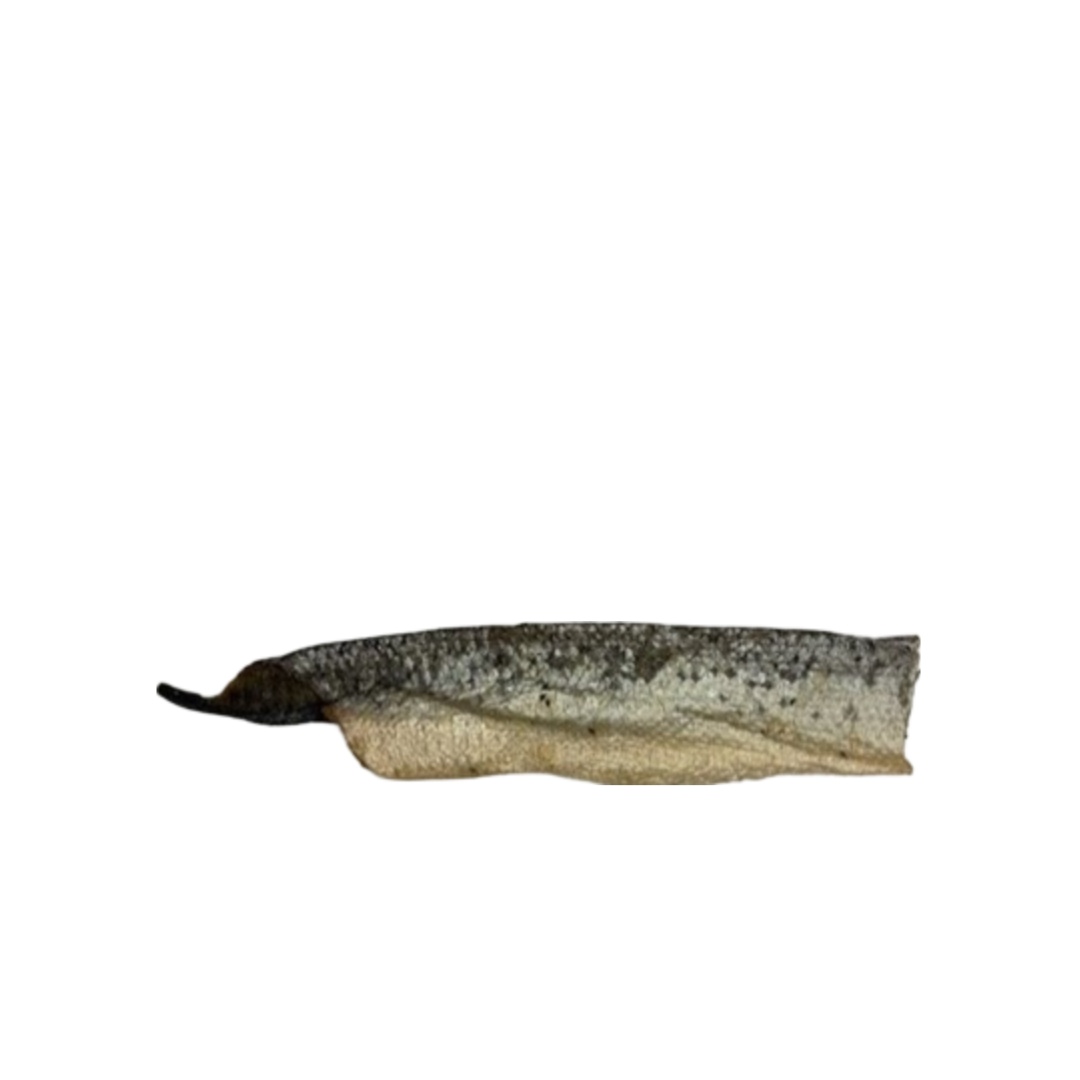 Salmon Skin Flatties Natural Dog Chew