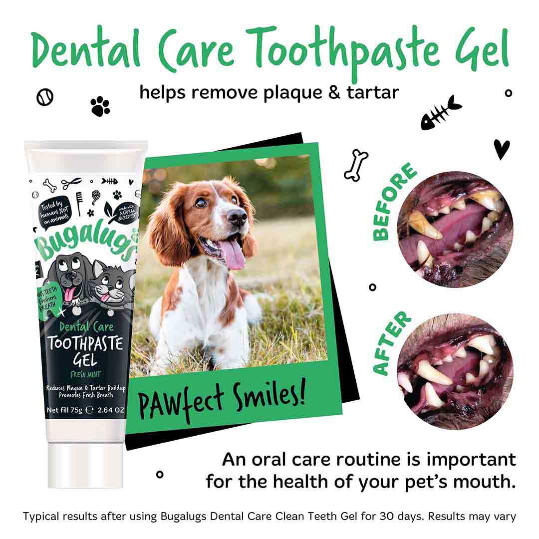 Bugalugs Dog & Cat Dental Brushing Teeth Gel 75g
