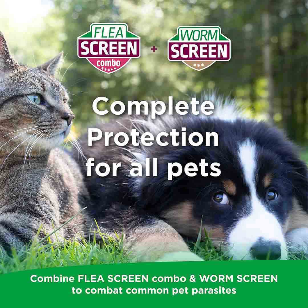Flea Screen Combo Spot-On Flea & Tick Treatment for Small Dog 2-10kg, 1 Pipettes