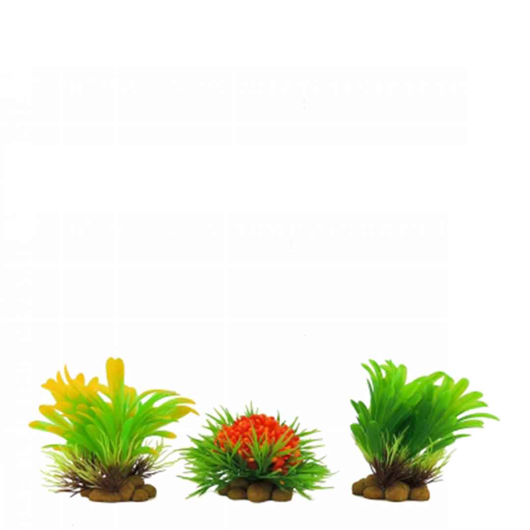 Classic Aquatic Plants Aquarium Decoration
