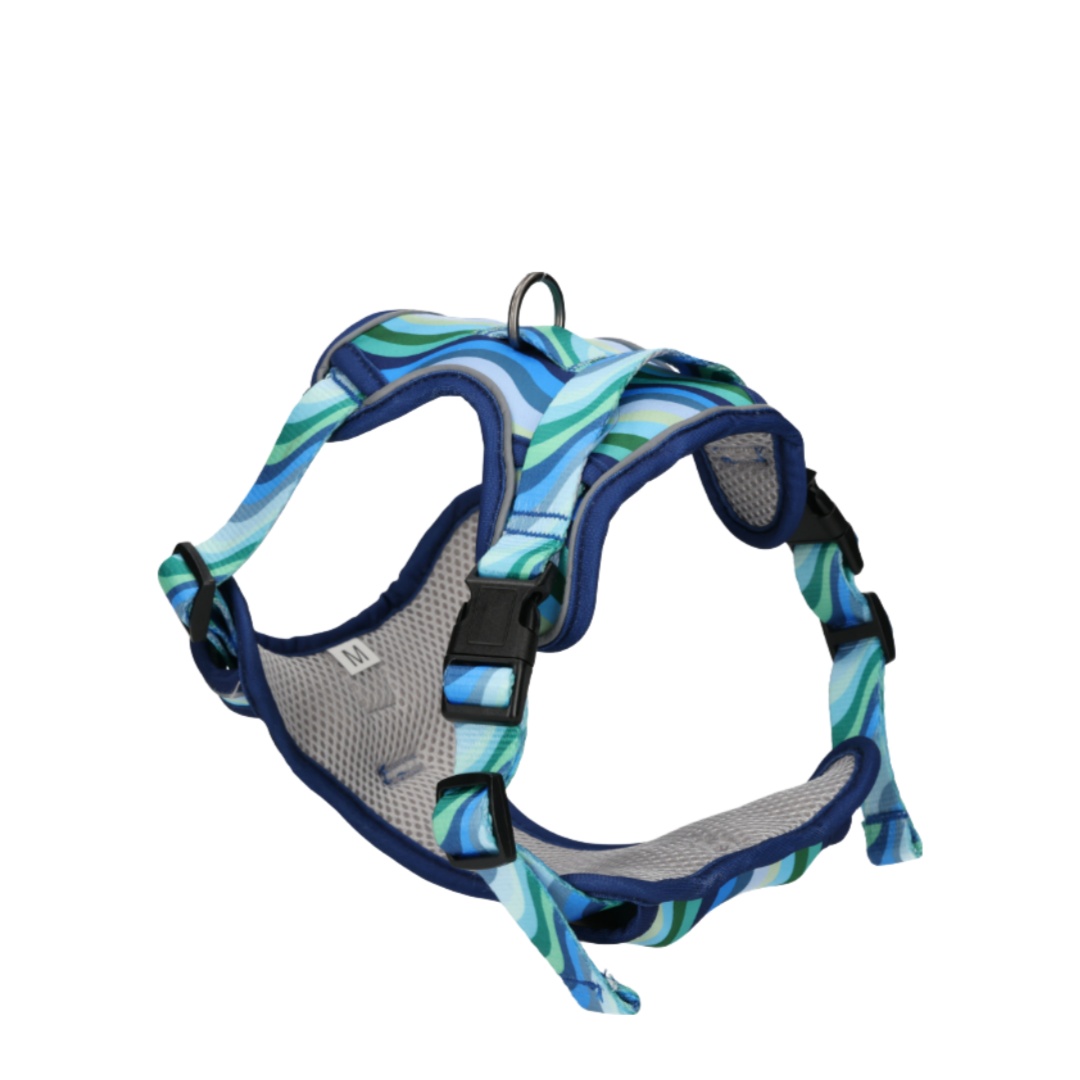 Rufus & Rosie Dog Harness & Lead Set Blue Wave, Small