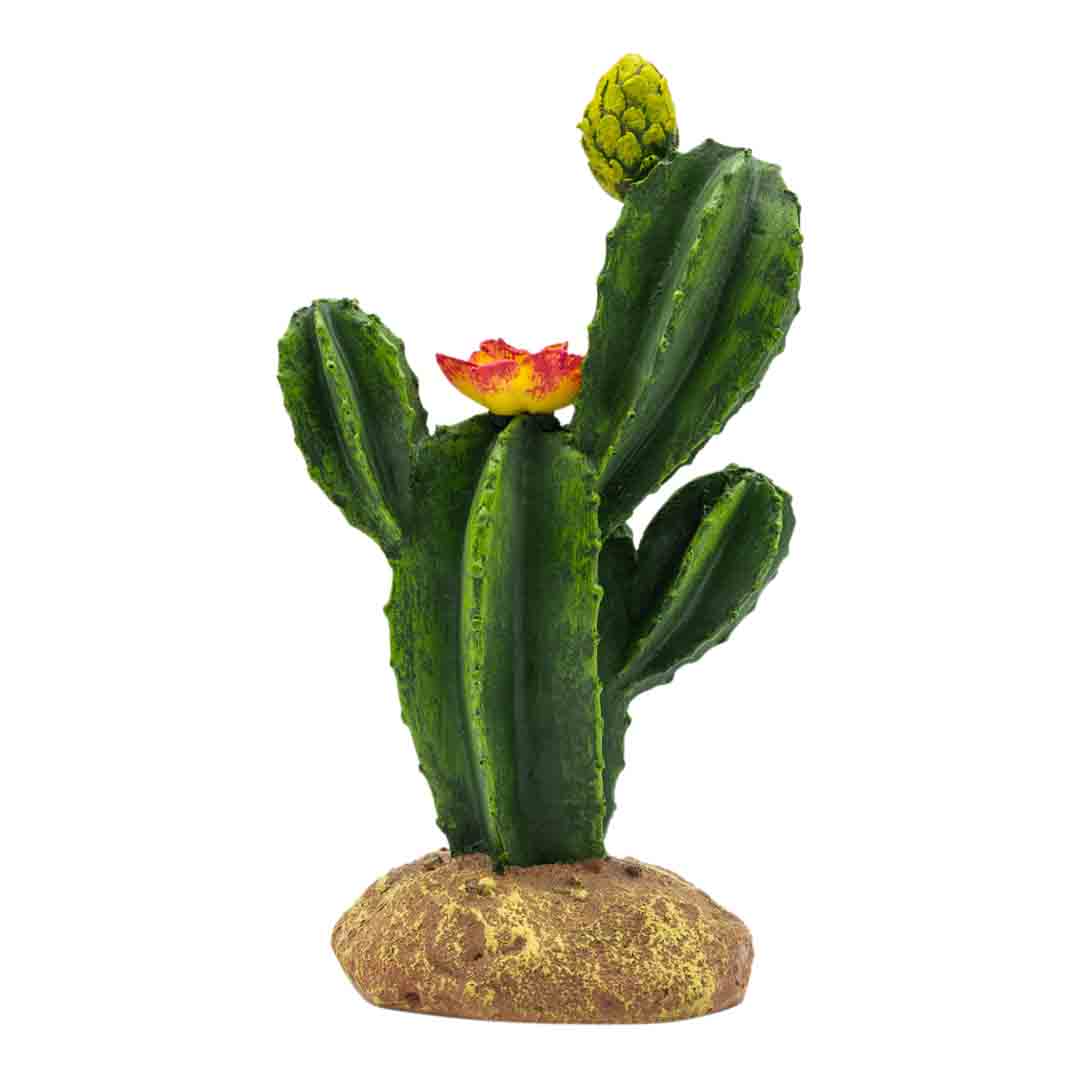 ProRep Flowering Cactus Reptile Vivarium Decoration