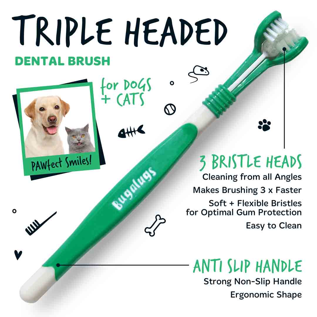 Bugalugs Triple Headed Toothbrush for Dogs