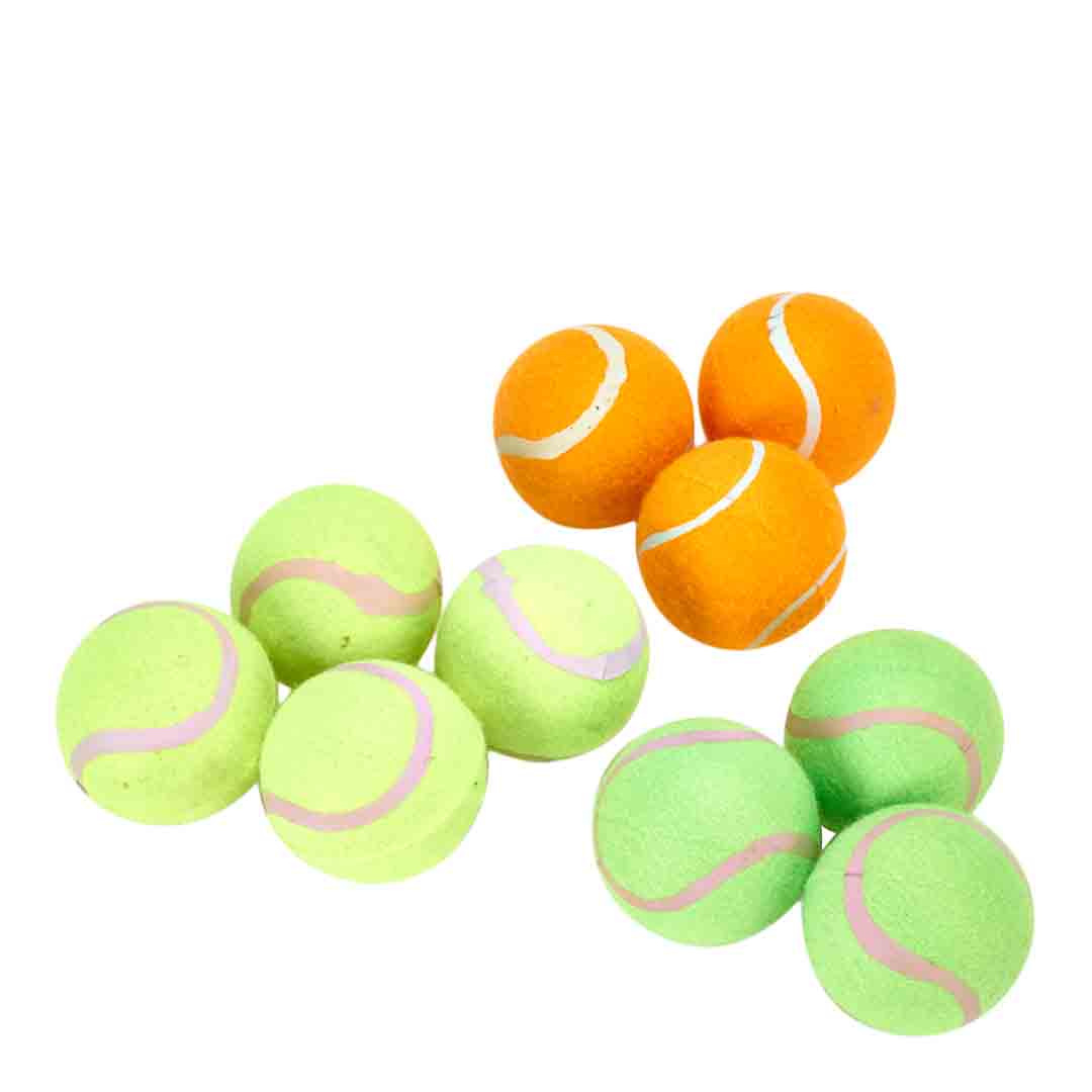 Pet Living Tennis Balls Dog Toy, 10 Pack