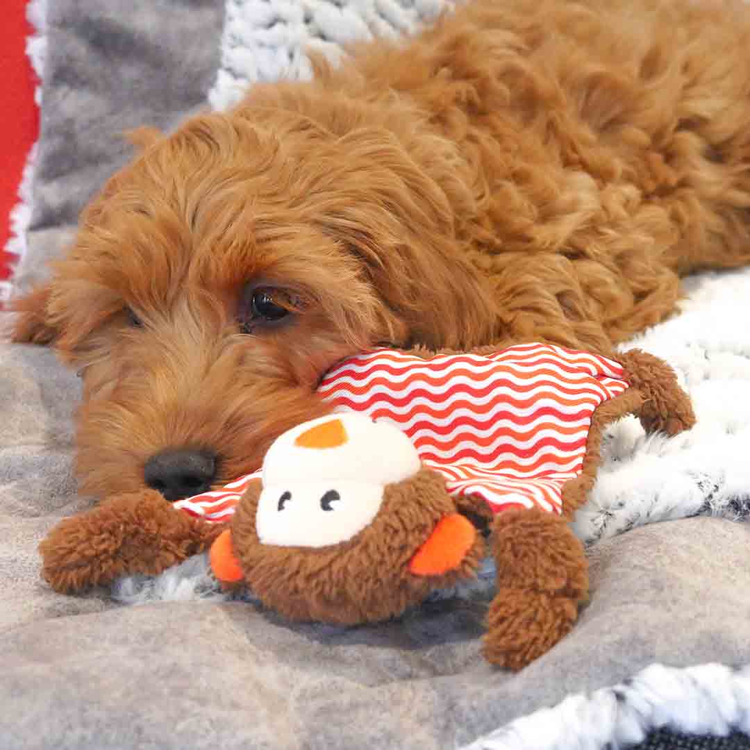 Rosewood Little Nippers Cheeky Chimp Dog Toy