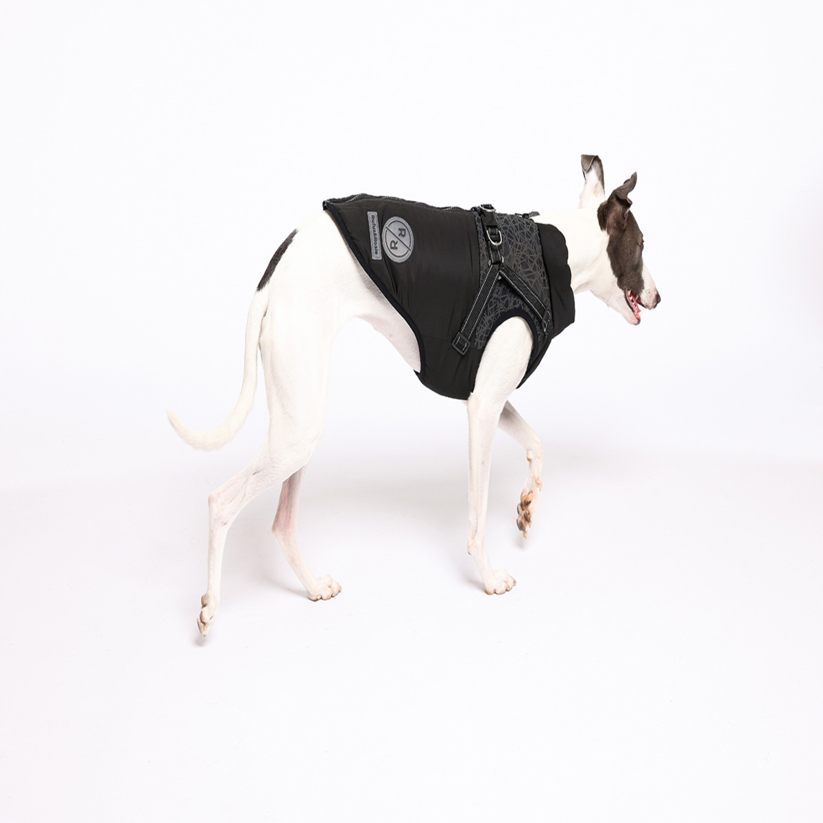 Rufus & Rosie Full Harness Dog Coat, L