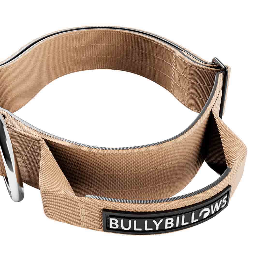 BullyBillows Combat Dog Collar Military Tan Large