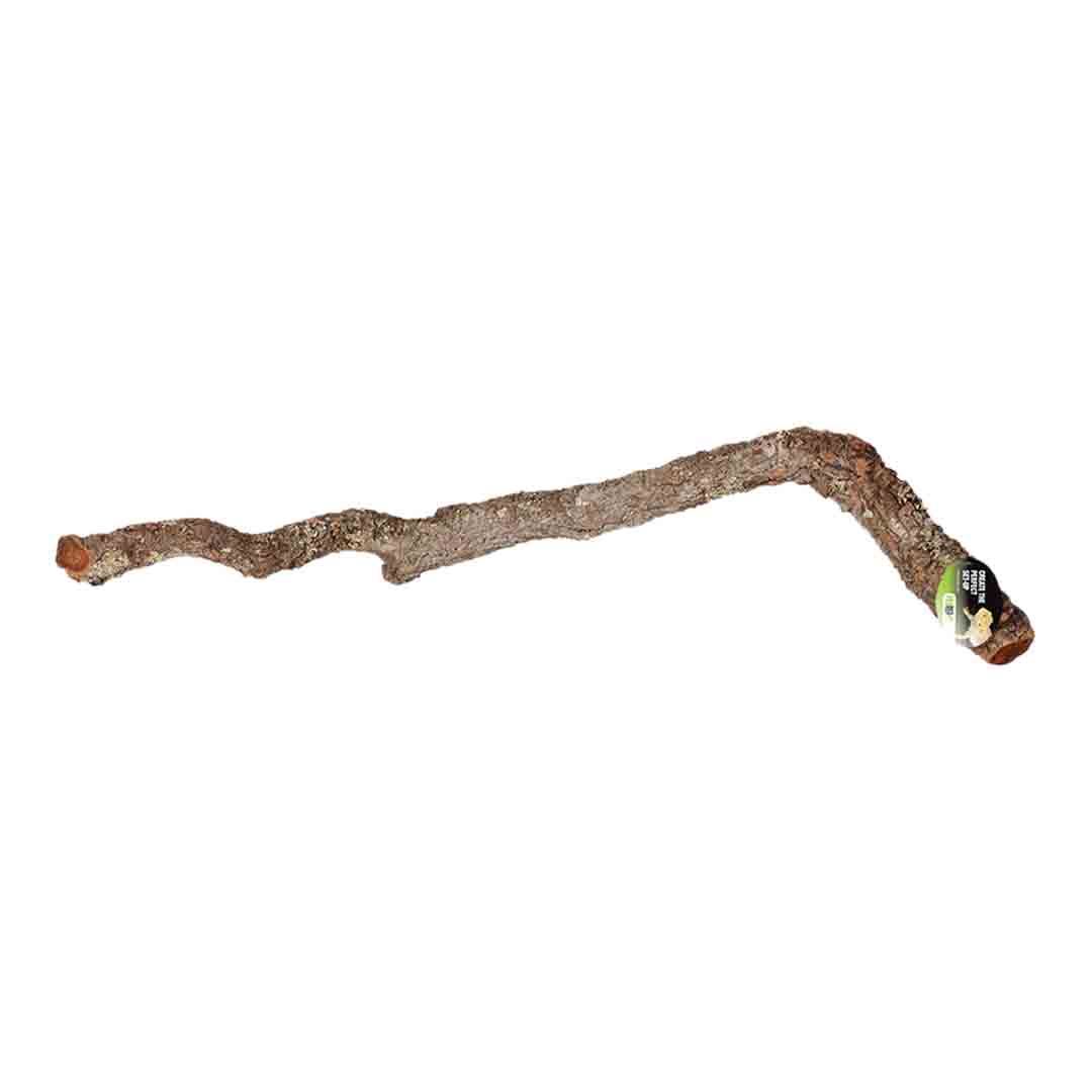 ProRep Cork Oak Branch Reptile Vivarium Accessory