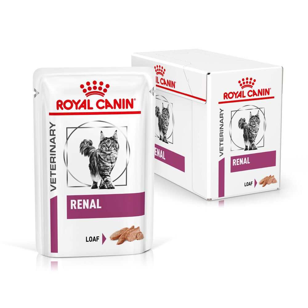 Royal Canin Renal Adult Wet Cat Food In Loaf 48x85g