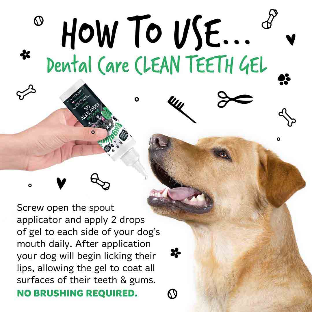 Bugalugs Dog & Cat Dental Gel 200ml