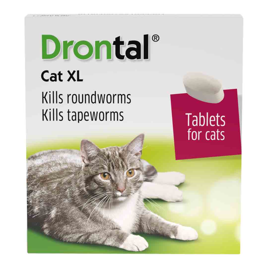 Drontal Wormer XL Tablets for Large Cats (Over 4kg), 8 Pack