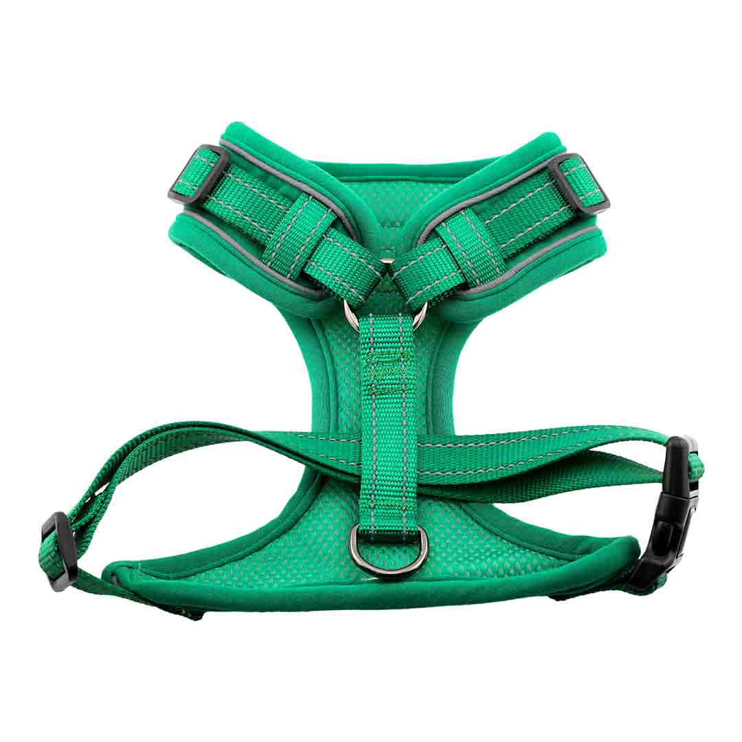 Doodlebone Trendy Tails Stomp Dog Harness Green 1-2