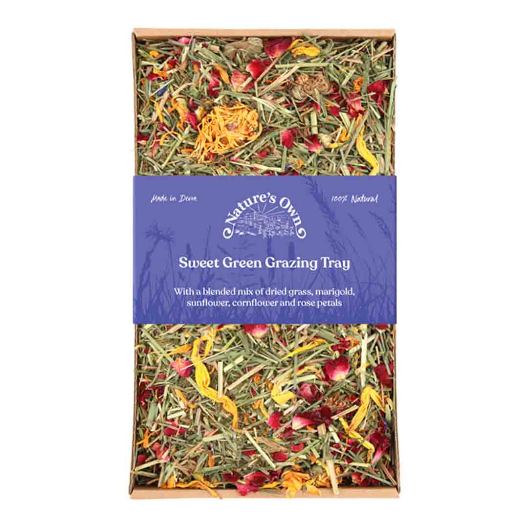 Natures Own Sweet Grazing Tray with Flowers Small Pet Treat