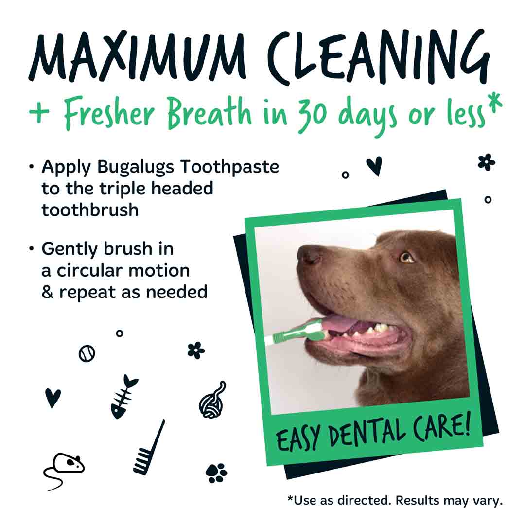 Bugalugs Triple Headed Toothbrush for Dogs