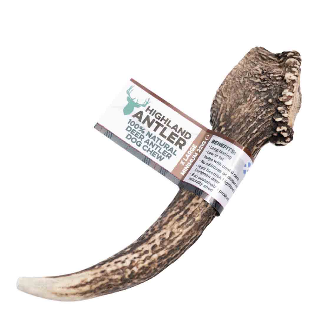 Natural Stagbar Antler Dog Chew, Extra Large