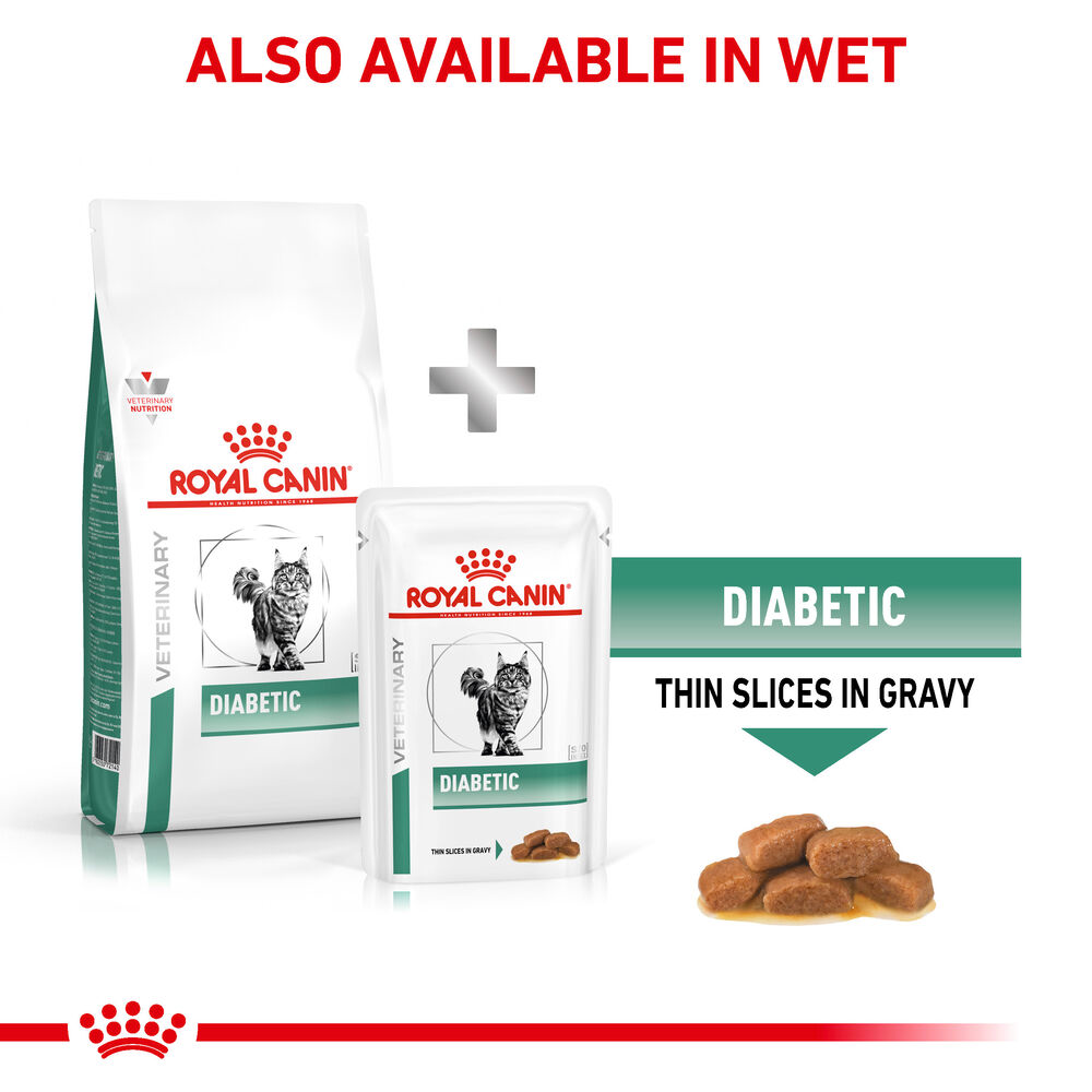 Royal Canin Diabetic Adult Dry Cat Food 3.5kg