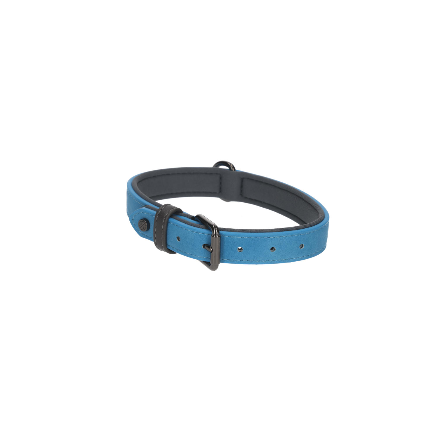 Rufus & Rosie Brights Tec Dog Collar, Blue, Small