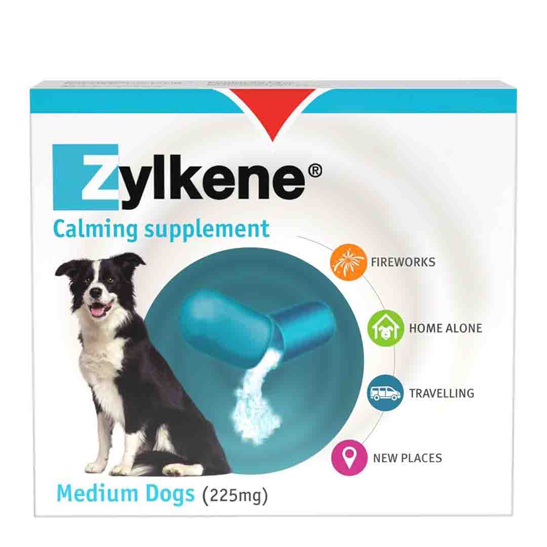 Zylkene 225mg Calming Supplement for Medium Dogs, 20 Capsules