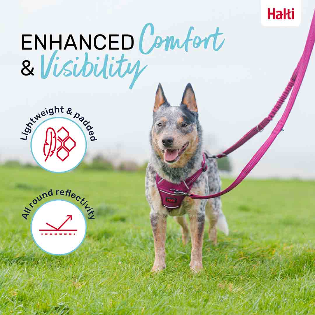 Halti Anatomy Multi Dog Lead Magenta Small