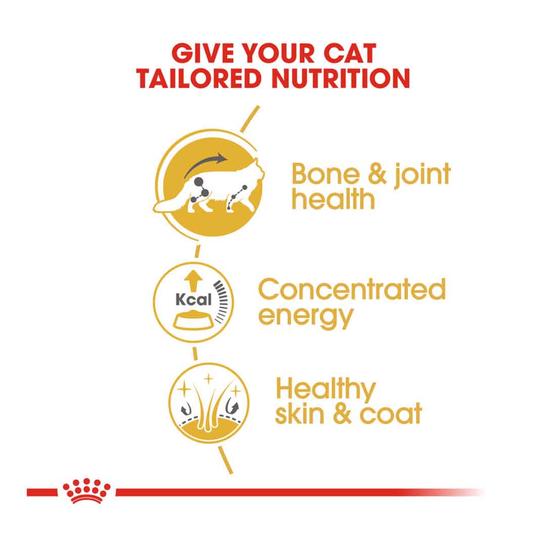 Royal Canin Maine Coon Gravy Wet Cat Food 85g