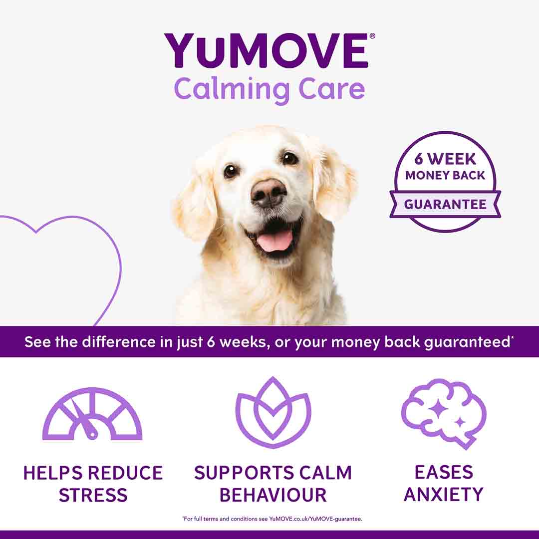 Yumove Calming Care Supplement for Adult Dogs, 60 Tablets