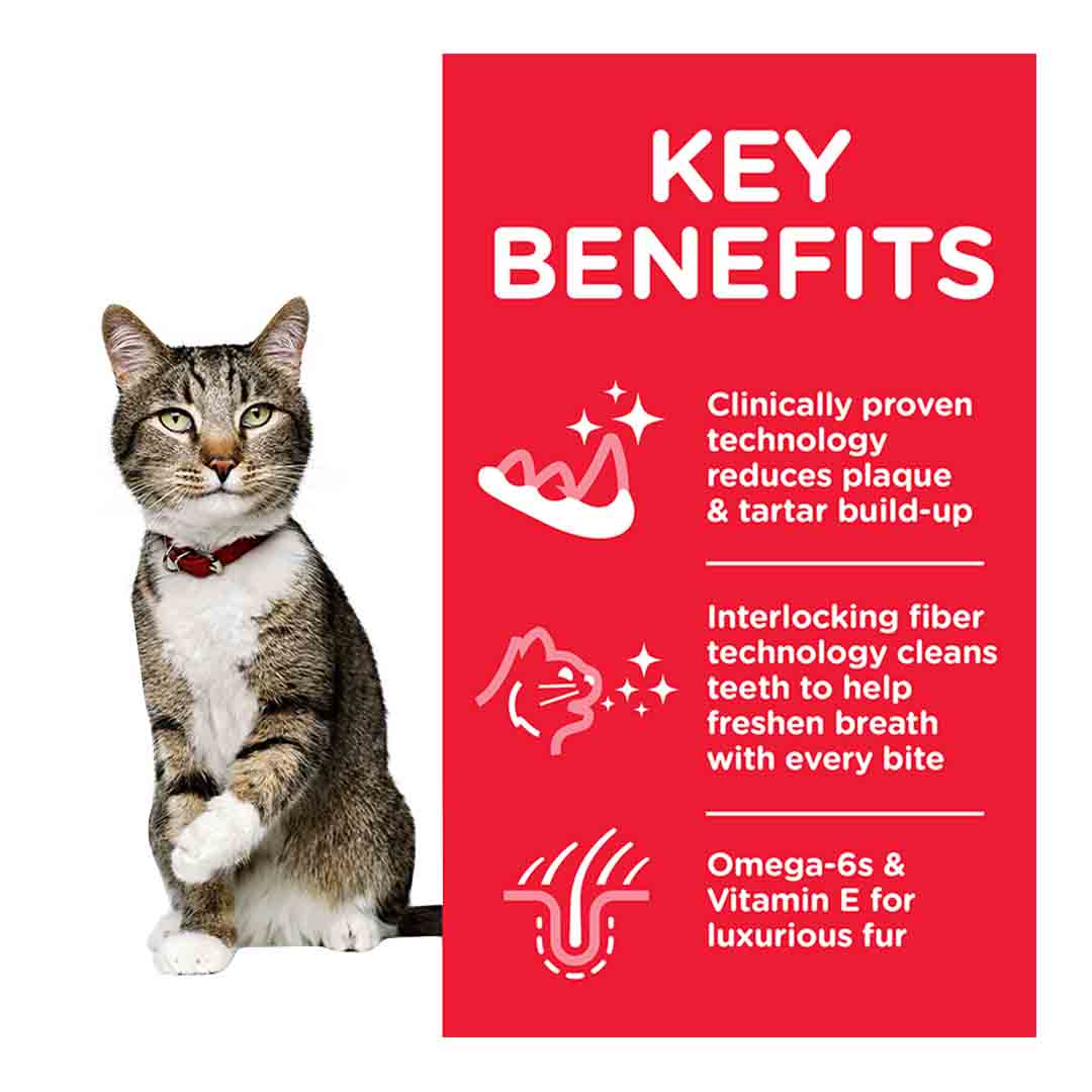 Hill's Science Plan Adult Oral Care Dry Cat Food Chicken Flavour 1.5kg 