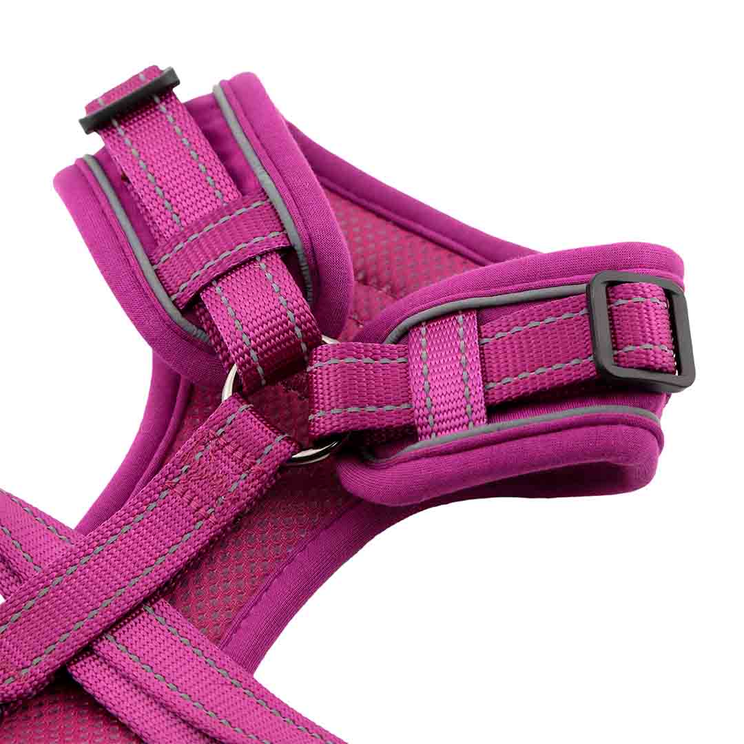 Doodlebone Trendy Tails Stomp Dog Harness Purple 4-7