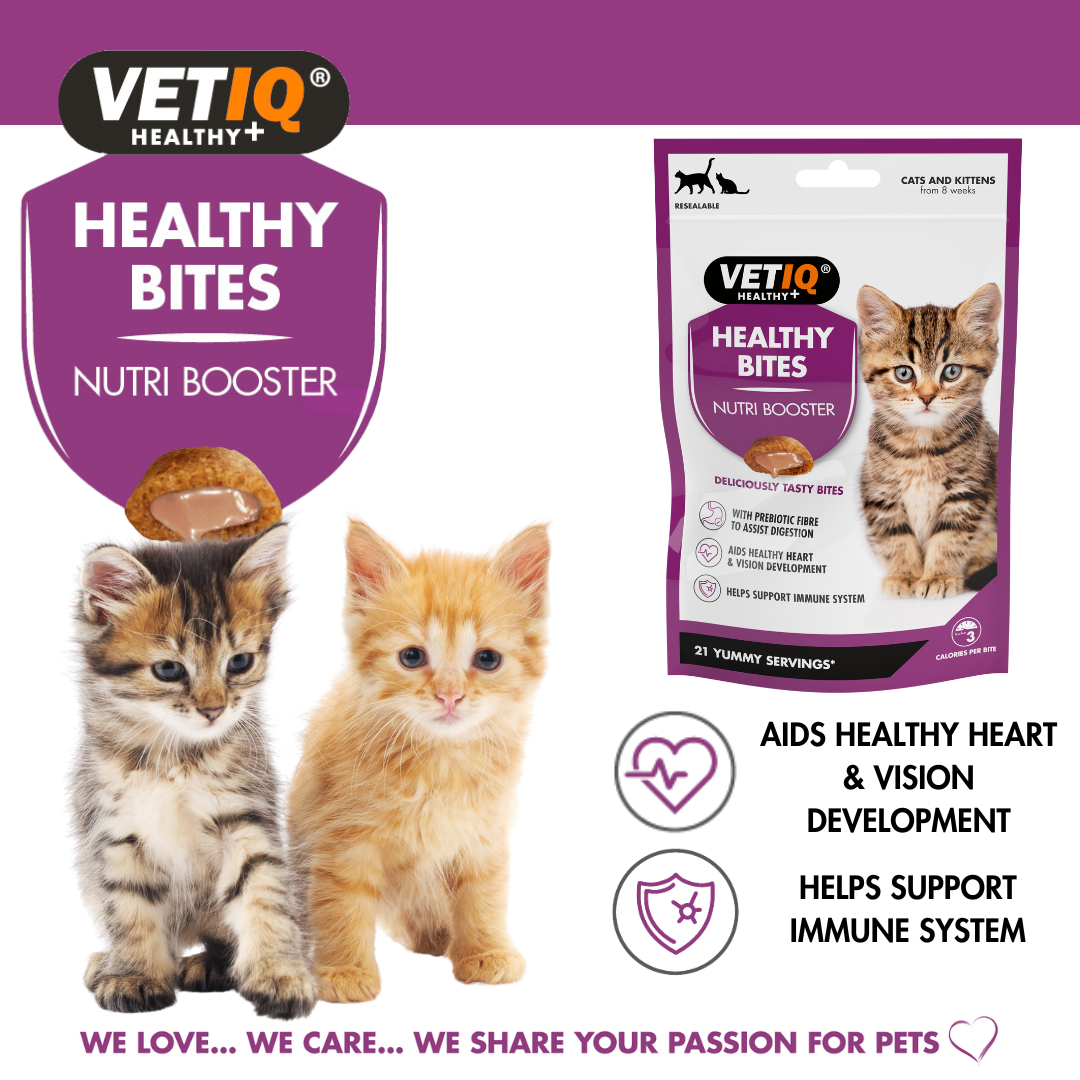 VetIq Nutriboost Kitten Treats