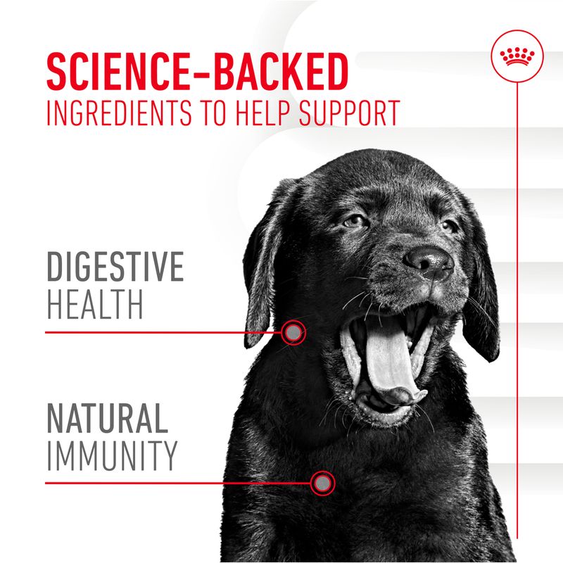 Royal Canin Puppy Supplement for Immunity & Digestion Soft Chews